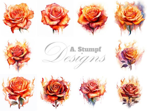 Download Burning Rose Clipart Botanical Painting - Paint Collection